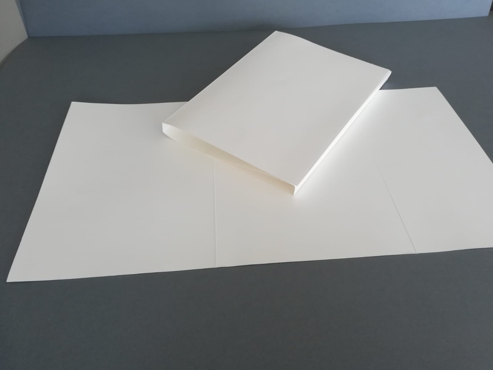 Camises-separadors de documents amb solapa (tipus tríptic)