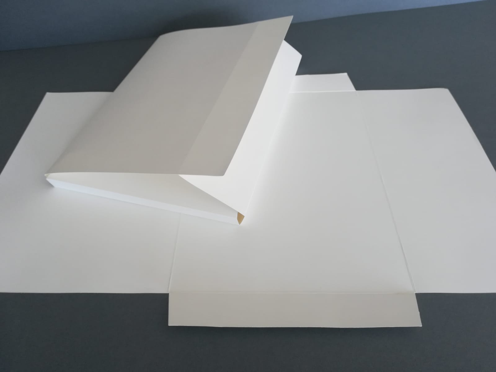 Camises-separadors de documents amb dues solapes